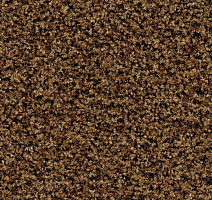 Грязезащитные покрытия Forbo Coral Brush 5716 Masala Brown фото 1 | FLOORDEALER